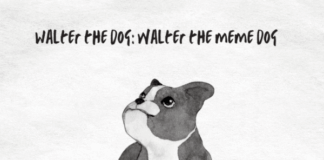 Walter The Dog: Walter Dog Meme Dog walter the dog