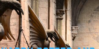 Harry Potter And The Goblet Of Fire Putlocker Harry Potter And The Goblet Of Fire Putlocker