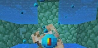 How To Use Heart Of The Sea Minecraft Heart Of The Sea Minecraft