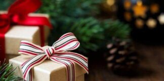 9 Best Affordable And Exclusive Christmas Gift For 2021 Gift for