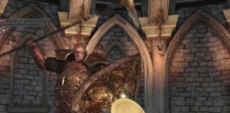 What To Do With Dragonrider Soul? Dragonrider Soul