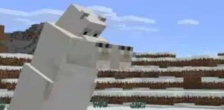What Do Polar Bears Eat In Minecraft? What Do Polar Bears Eat In Minecraft?
