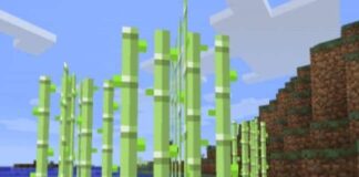 Does Sugar Cane Grow Faster On Sand? Does Sugar Cane Grow Faster On Sand