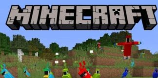 How To Tame A Parrot In Minecraft? how to tame a parrot in minecraft
