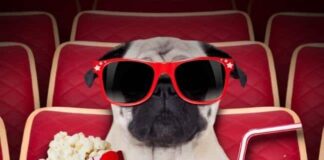 Movie4me – Latest Bollywood, Hollywood, Telugu Movies Movie4me