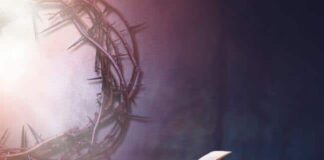 Why was the book of Enoch removed from the Bible? Why was the book of Enoch removed from the Bible