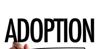 How Old Do You Have To Be To Adopt? How Old Do You Have To Be To Adopt