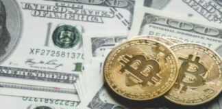 How BTC Casino Gamers Can Withdraw BTC To Their Bank Account: A Guide to How Bitcoin Wallets Works btc casino