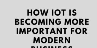 How IoT is Becoming More Important for Modern Business Enterprises IOT