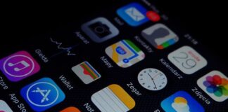 Top 5 Mobile Bingo Apps: The Best Way to Play Bingo on the Go Bingo Apps