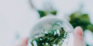 Gains some insights about circular economy and its impact on the climate circular economy