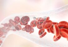 Which Of The Following Has Primary Responsibility For Eliminating Alcohol From The Bloodstream? Which Of The Following Has Primary Responsibility For Eliminating Alcohol From The Bloodstream?