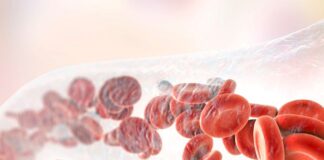 Which Of The Following Has Primary Responsibility For Eliminating Alcohol From The Bloodstream? Which Of The Following Has Primary Responsibility For Eliminating Alcohol From The Bloodstream?